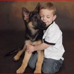 AKC Registered German Shepherd Puppies for Sale! | Breeding Pedigreed ...